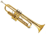 Flgelhornisten und Trompeter/innen